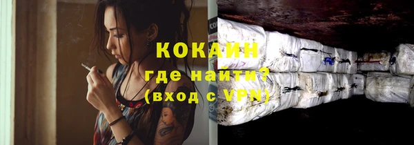 гашик Пестово