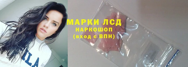 гашик Пестово