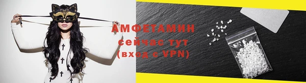 гашик Пестово