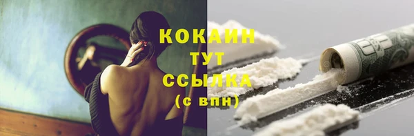 гашик Пестово