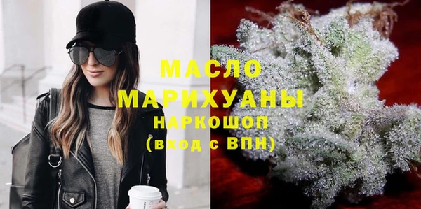 гашик Пестово