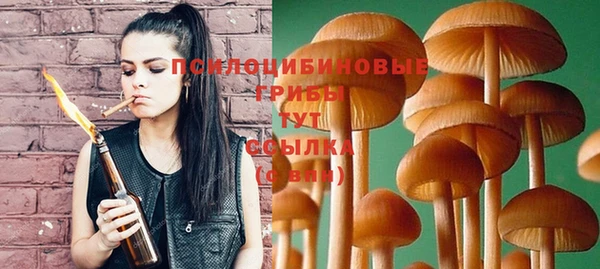 не бодяженный Переславль-Залесский