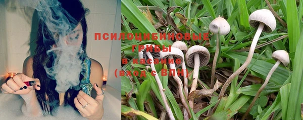 не бодяженный Переславль-Залесский