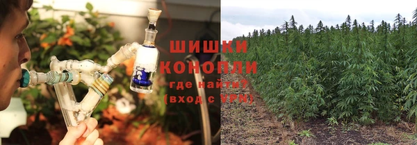 гашик Пестово