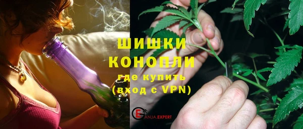 гашик Пестово