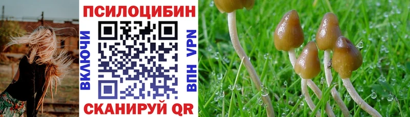 Галлюциногенные грибы Cubensis  Купить где  Грайворон 